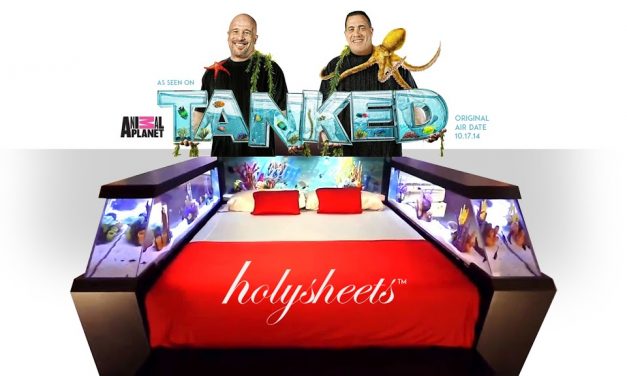 What is the HolySheets Franchise?