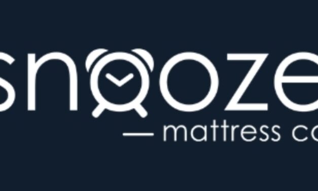 Snooze Mattress:  Value of the Franchise System